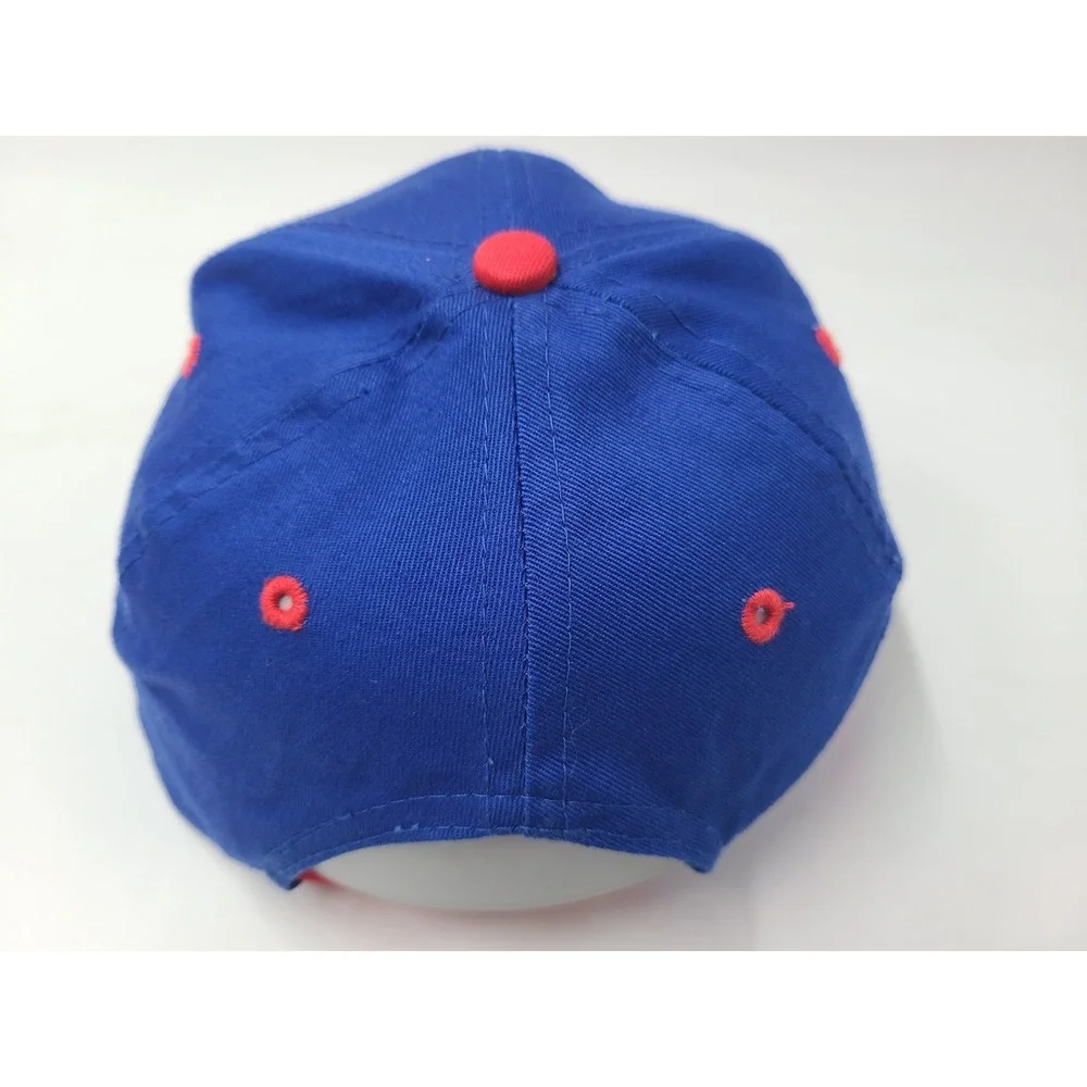 Vintage Youth Chicago Cubs Looney Tunes Fowl Play Taz Daffy Snapback Hat Cap MLB